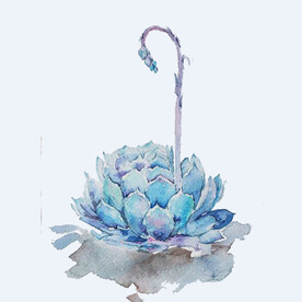 png格式植物花卉手绘素材