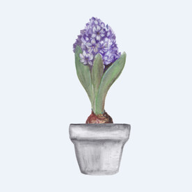 png格式植物花卉手绘素材