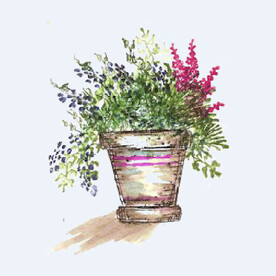 png格式植物花卉手绘素材