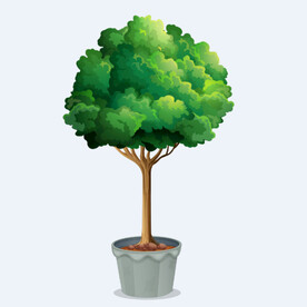 png格式植物花卉手绘素材