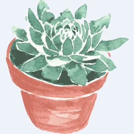 png格式植物花卉手绘素材