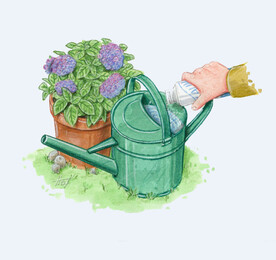 png格式植物花卉手绘素材