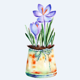 png格式植物花卉手绘素材