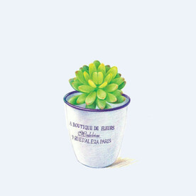 png格式植物花卉手绘素材