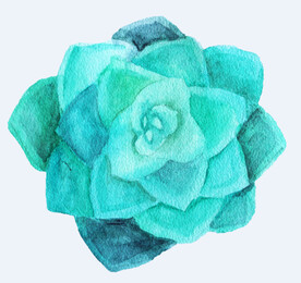 png格式植物花卉手绘素材