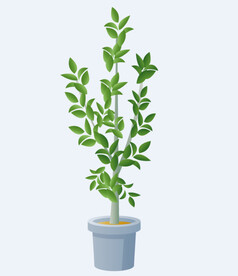 png格式植物花卉手绘素材