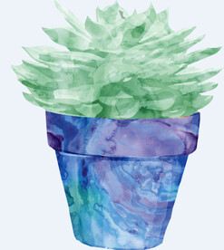 png格式植物花卉手绘素材