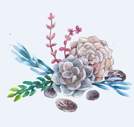 png格式植物花卉手绘素材