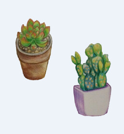 png格式植物花卉手绘素材