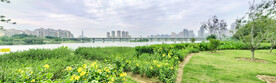 金山大桥