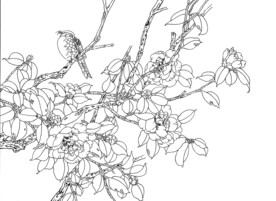 茶花小鸟
