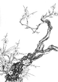 独具风采