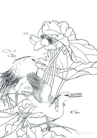 风姿绰约