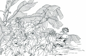 芙蓉戴胜图