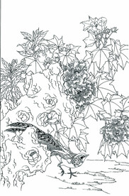 芙蓉锦鸡图
