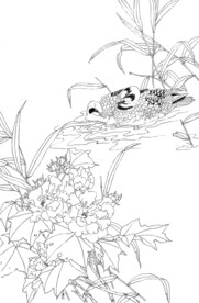芙蓉双鸭