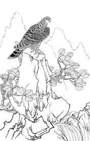 高瞻远眺