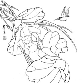 荷花翠鸟