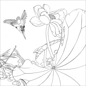 荷花翠鸟图