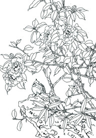 花好禽栖