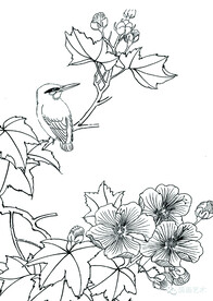 花鸟小品