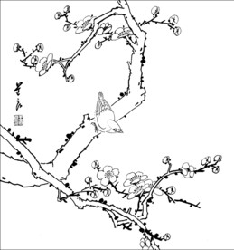 梅花小鸟