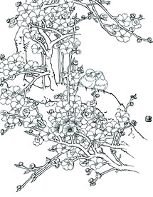 梅花珍珠鸟