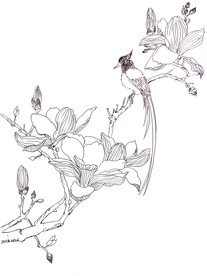 玉兰长尾鹊