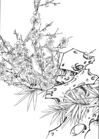 气质高洁