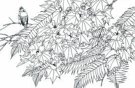 芙蓉小鸟图