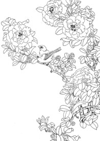 禽栖花枝