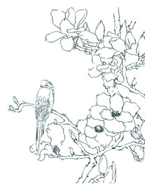 禽栖玉兰枝
