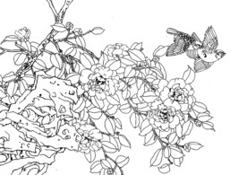 茶花飞禽图