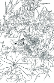 芙蓉水鸟图