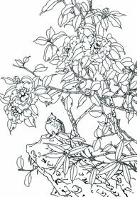 花荫小鸟