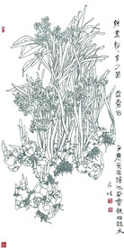 诗意水仙