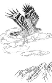 展翅高飞
