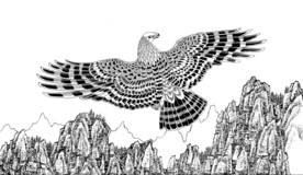 腾空展翅