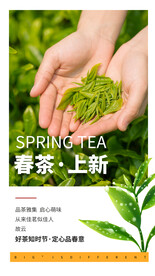 春茶上新