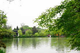 瘦西湖美景