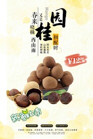 桂圆