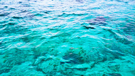 大海