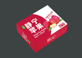 包装平面设计