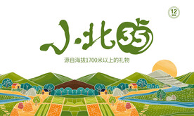 水果礼盒设计