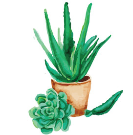 png格式植物花卉手绘素材