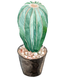 ai格式植物花卉手绘素材