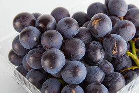 葡萄