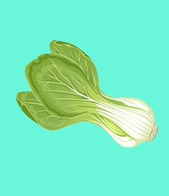 卡通手绘菠菜PNG素材