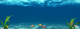 海边