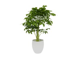 植物盆栽模型